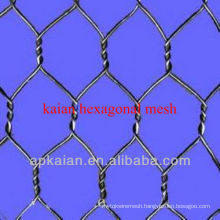 hebei anping KAIAN hexagonal mesh